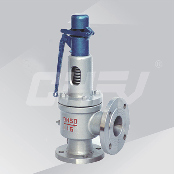 Boiler special safety valve