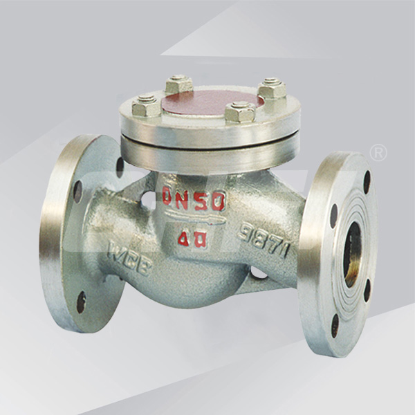 Liquefied gas check valve