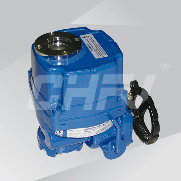 Explosion-proof electric actuator 